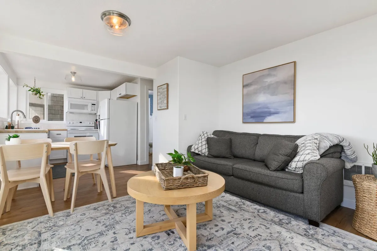 A bright, welcoming interior shows a sofa, dining table, artwork, and a stylish rug. The open, accessible layout underscores both comfort and durability—key features for pet owners—and invites relaxation or family activities.